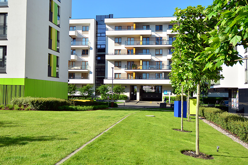 Home zarzad